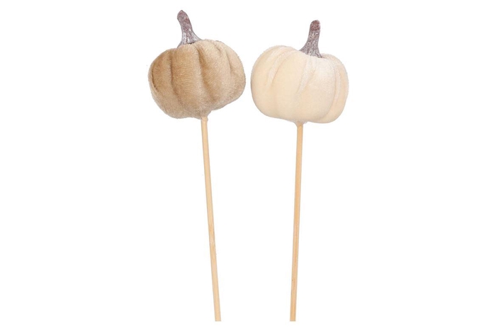 Pick Joyful Sand Pumpkin Velvet Ass 50cm P/1