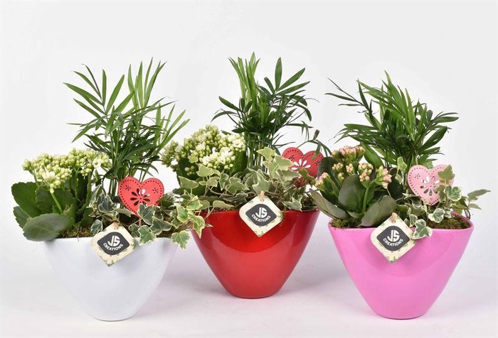 <h4>Keramiek ovaal mix</h4>