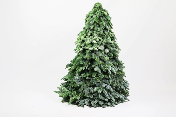 <h4>Kerstboom</h4>