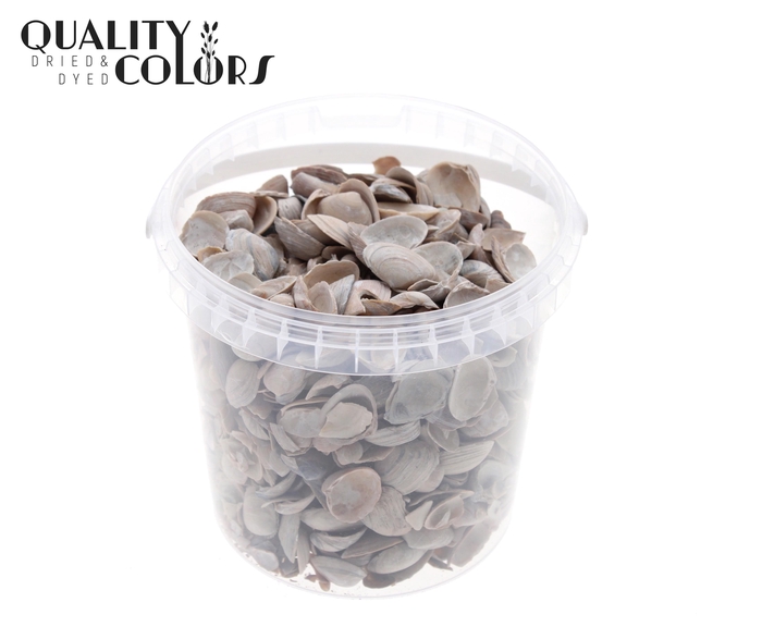 Shells north sea 1 ltr Frosted White