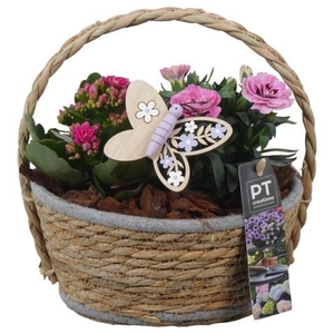 PTPP6937 Arrangement Patio in rieten mand