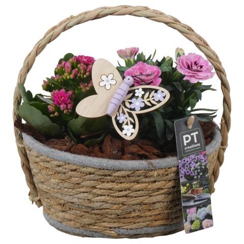 <h4>PTPP6937 Arrangement Patio in rieten mand</h4>