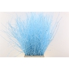 Berk 70cm Light Blue Bunch