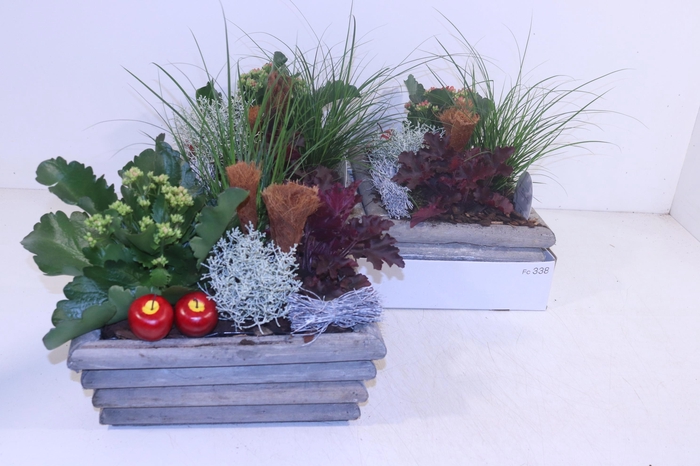 <h4>ARR TUINPLANTEN</h4>