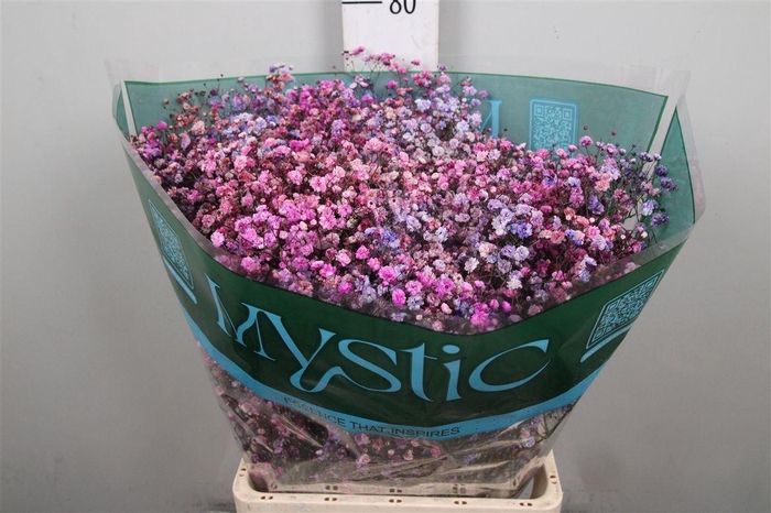 <h4>Gyps Rb Dusty Grape</h4>