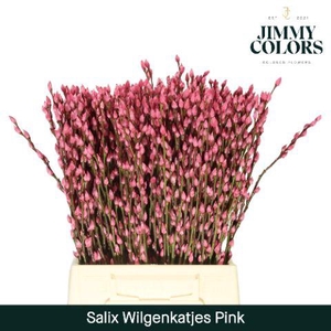 Salix Katjes L50 Pink