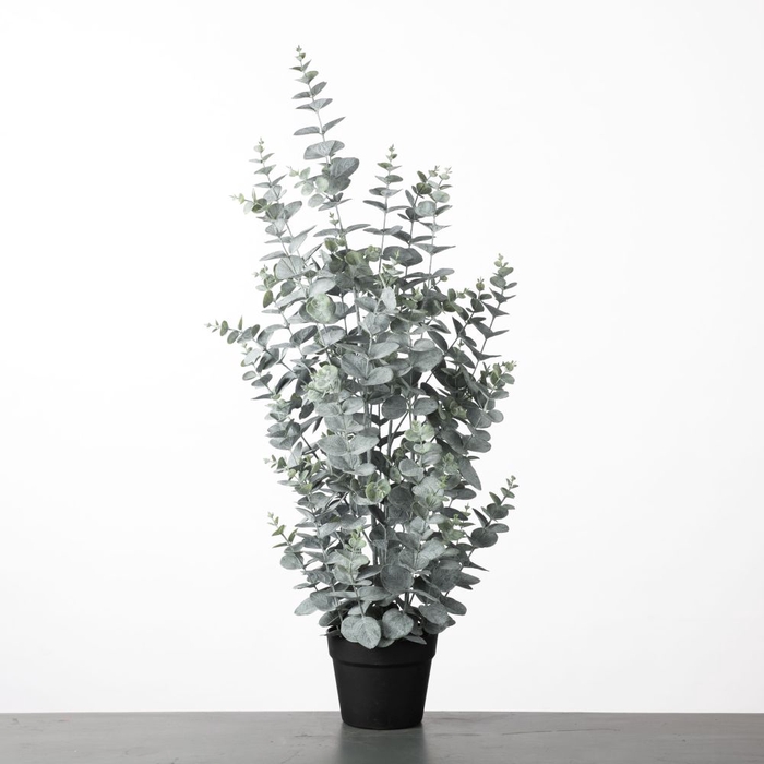 <h4>AF Eucalypthus pot H91cm Green</h4>