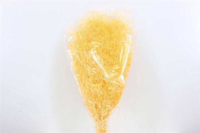 Pres Gyps Mini Soft Light Yellow Bunch Slv