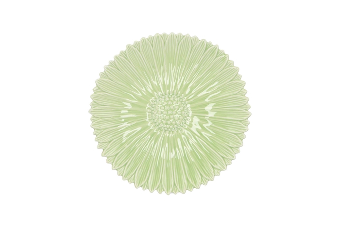 Bloom Daisy Plate Green 17x17x4cm Nm