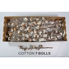 Dried Cotton Gossypium Premium