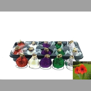 Bloembol Hipp Glitter Mixtray