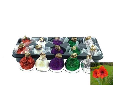 <h4>Bloembol Hipp Glitter Mixtray</h4>