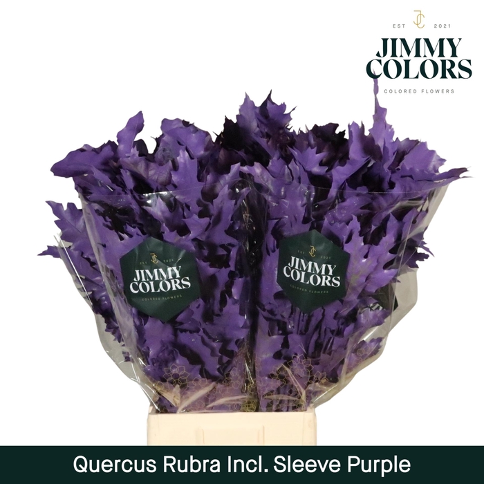 <h4>Quercus Rubra sleeve L80 Purple</h4>
