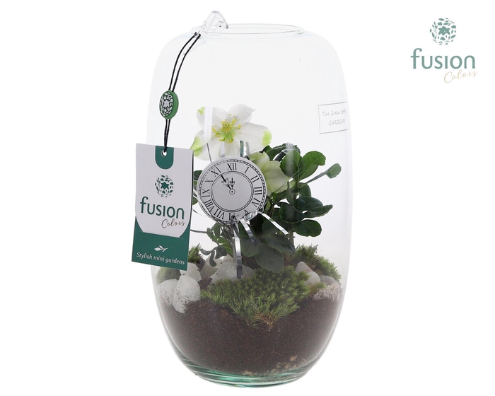 <h4>Green Bottle Isabella Medium met Helleborus</h4>