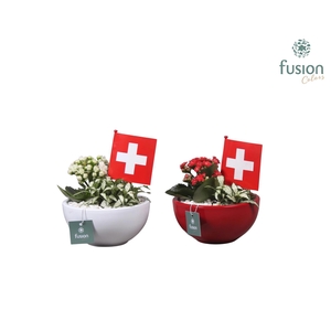 Keramiek pot met arrangement en de vlag van Zwitserland