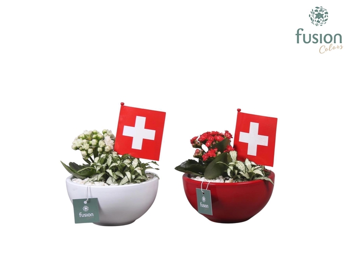 <h4>Keramiek pot met arrangement en de vlag van Zwitserland</h4>