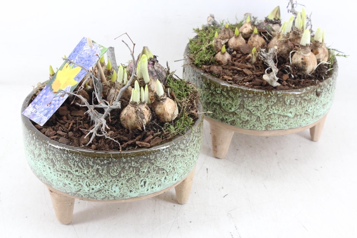 <h4>arr4 Bollenmix MB - Ker. luxe schaal pootjes 285/5</h4>