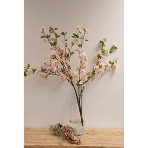 BLOSSOM PINK FL440214PNK L90