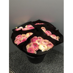 Ran Suc Felicidade Sup