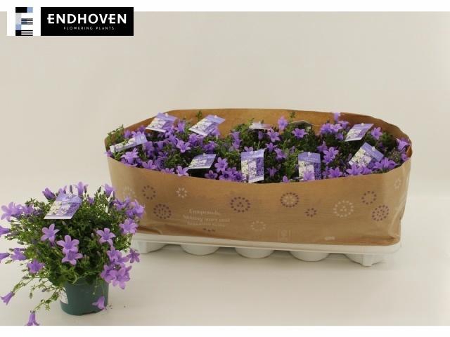 Camp Portenschlagian