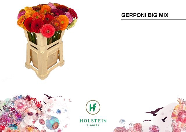 <h4>GE GB GERP BIG GEM</h4>