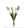 AF Tulip bundle x5 L45cm  wh