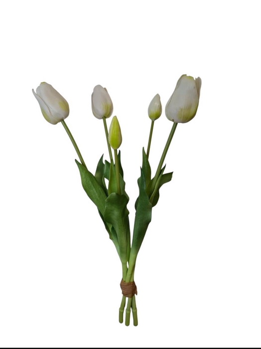 AF Tulip bundle x5 L45cm  wh