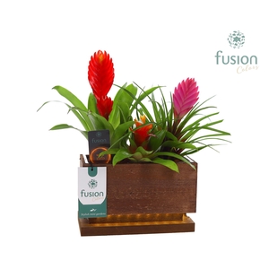 The Green Lighting Garden LED Small lang met Arrangement