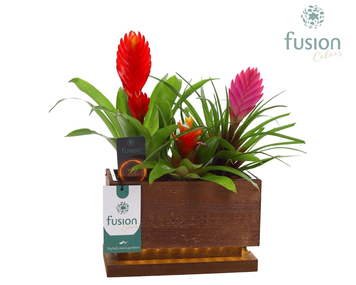 <h4>The Green Lighting Garden LED Small lang met Arrangement</h4>