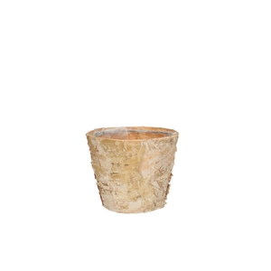 Hout Berk pot d11*09cm