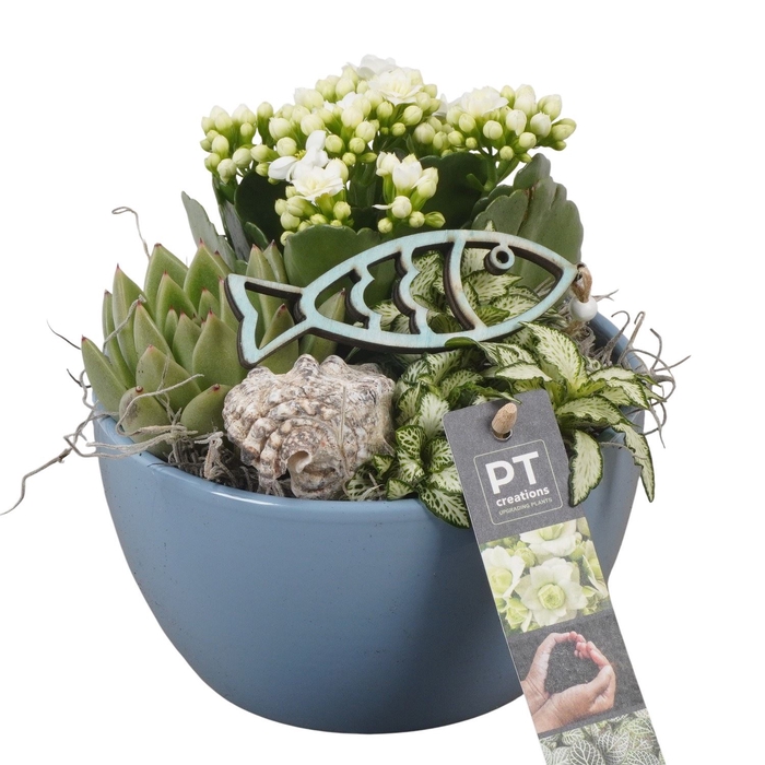 <h4>Arr.   Planten L%</h4>