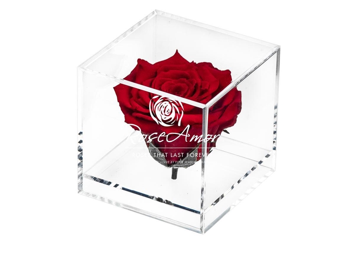 <h4>Giftbox Gb12 Red02</h4>