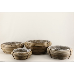 Lamiation bowl C