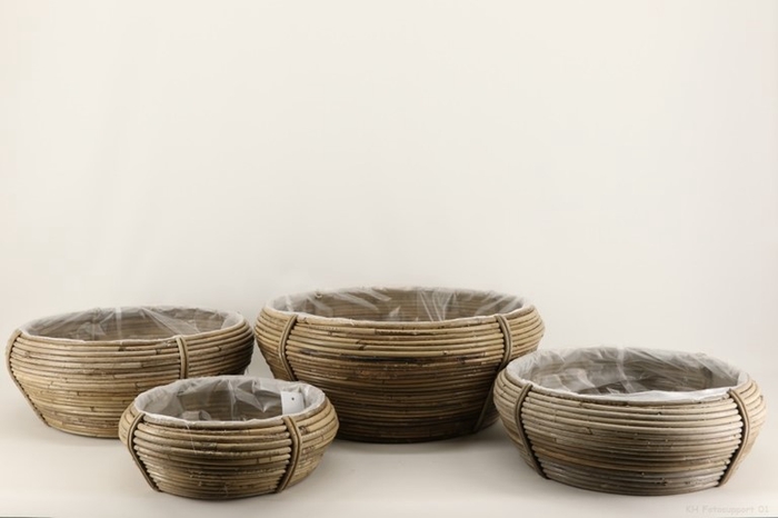 <h4>Lamiation bowl C</h4>