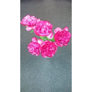 Paeo L Pink Mix