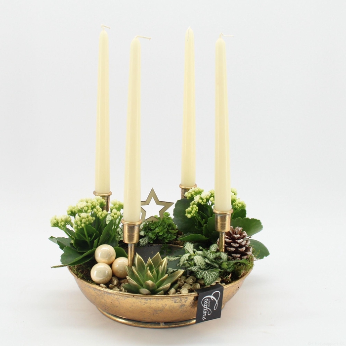 <h4>ADV-2502W Advent creatie</h4>