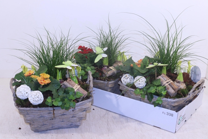 <h4>ARR TUINPLANTEN</h4>