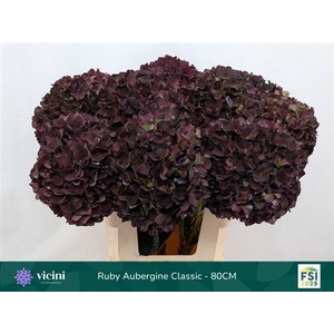 Hydr M Mag Ruby Cl P