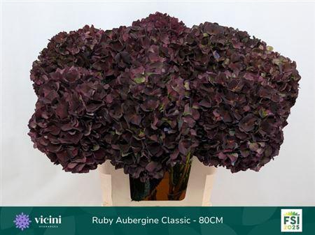 <h4>Hydr M Mag Ruby Cl P</h4>