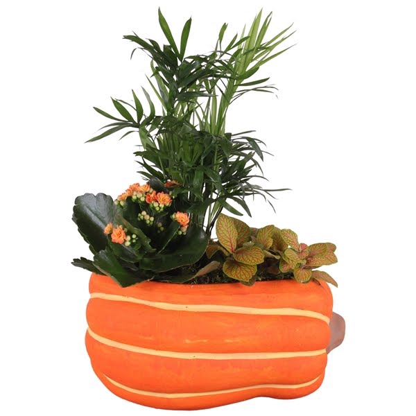 <h4>Autumn Arr. Indoor Ceramic Pumpkin Ø21cm 3PP</h4>