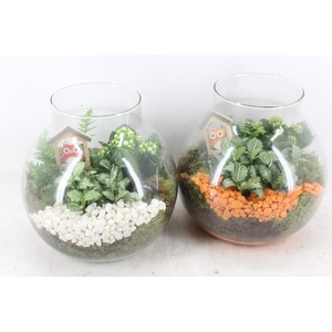 arr2 PL - Glas bol nek - oranje/wit