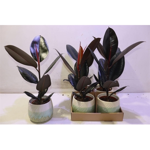 arr8 Arr Fic El Abidjan In Keramiek