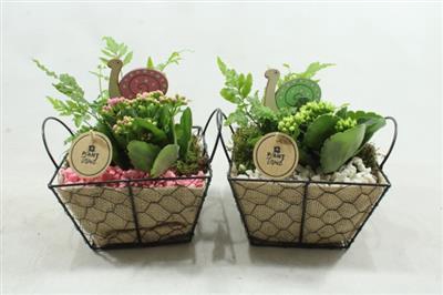 <h4>3775 GAAS + JUTE VK</h4>