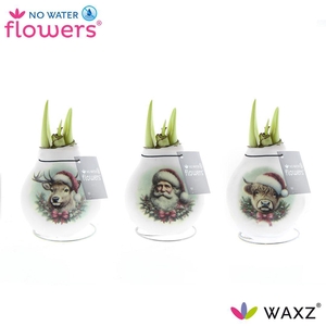 No Water Flowers® Craftz - Santa & Friends