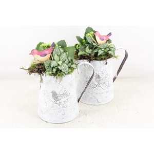 arr2 TD - Zink kan - wit