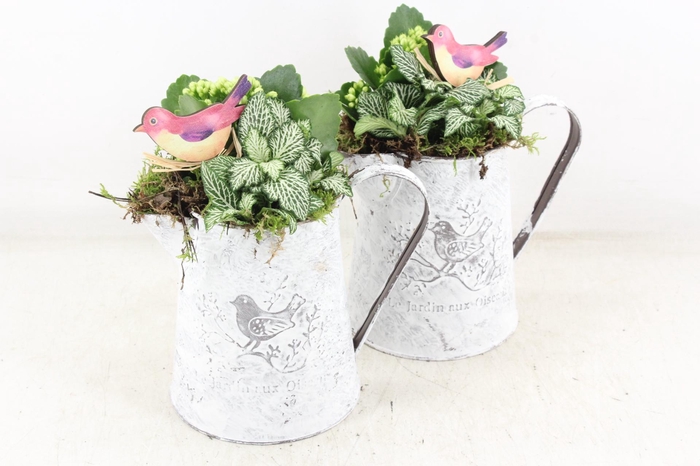 <h4>arr2 TD - Zink kan - wit</h4>