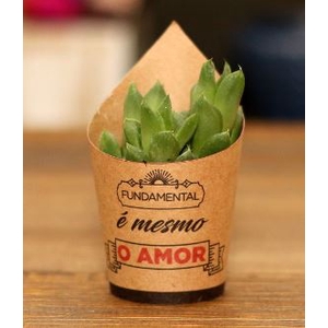 CACHEPOT KRAFT 10 CM X 06 CM C/20 FUNDAMENTAL E MESMO O AMOR