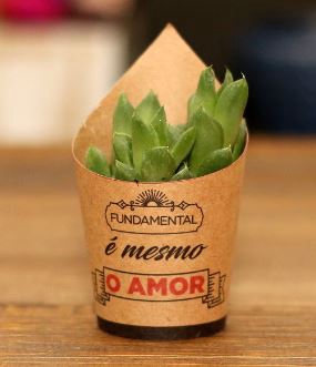 <h4>CACHEPOT KRAFT 10 CM X 06 CM C/20 FUNDAMENTAL E MESMO O AMOR</h4>