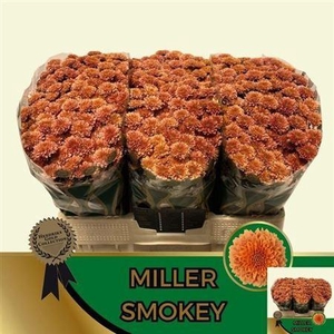 Chr S Miller Smokey ''new''