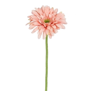 Gerbera 60cm